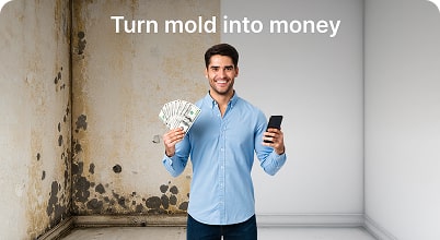 Professional mold removal in residential areas