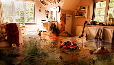 Floods in the USA: how to quickly rebuild a house and avoid mold